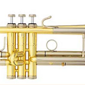 Trompete in b B&S CHALLENGER II 3141/2 lack.
