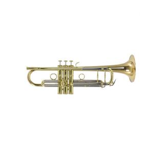 Trompete in b Carol Brass Advanced