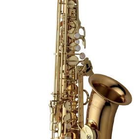 Alto-Saxophon Yanagisawa A-WO2 (Bronze)