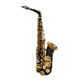 Alto-Saxophon Selmer Signature schwarz