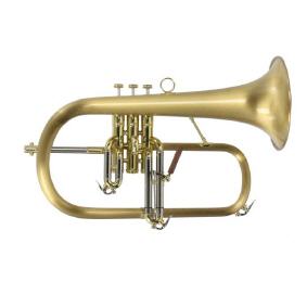 Flügelhorn Carol Brass Gold