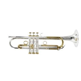 Trompete in b Bach LR190-43B STRADIVARIUS
