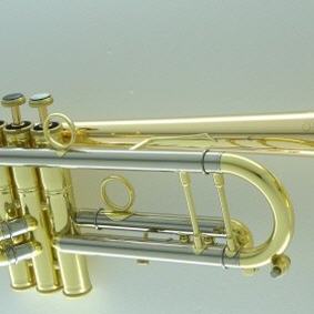 Trompete in b Roy Benson TR-101 K schwarz