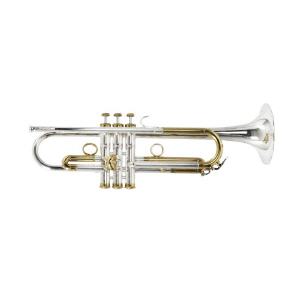 Trompete in b Carol Brass Mariachi