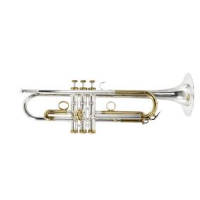 Trompete in b Carol Brass Heavy