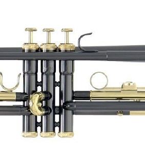 Trompete in b Roy Benson TR-101 E grün