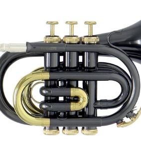 Taschentrompete Roy Benson PT 101 k schwarz