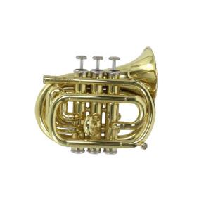 Trompete in b Carol Brass Junior