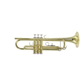 Trompete in b Carol Brass Basic