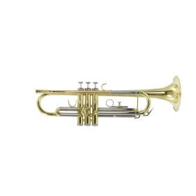 Trompete in b Carol Brass Advanced