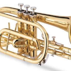 Cornet in b Jupiter JCR700Q lackiert