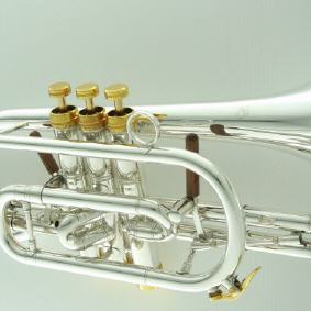 Cornet in b Carol Brass CCR-6882T-GSS-Bb-SG