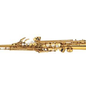 Alto-Saxophon Yanagisawa A-WO2 (Bronze)