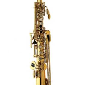 Alto-Saxophon Yanagisawa A-WO20 Elite(Bronze)