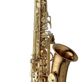 Alto-Saxophon Yanagisawa A-WO20 Elite(Bronze)