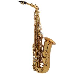 Alto-Saxophon Selmer Référence 54 patiniert