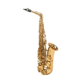 Alto-Saxophon Selmer Signature schwarz