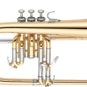 Flügelhorn Yamaha YFH-631G lack.