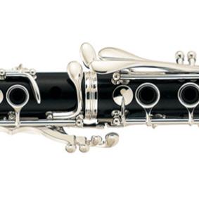 Klarinette in b SELMER Seles Prologue